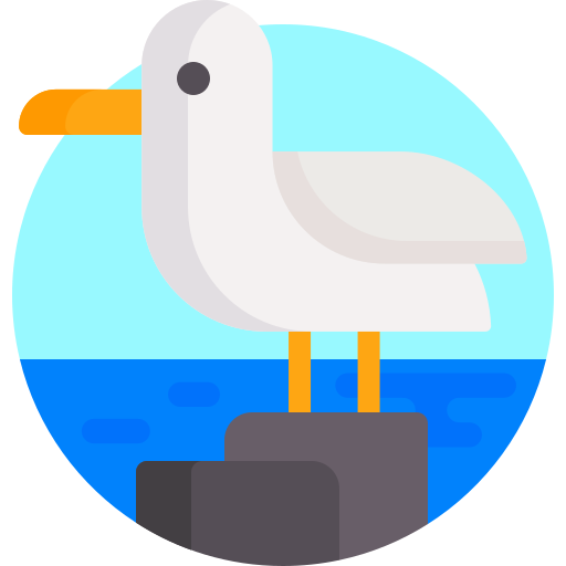 gaviota icono gratis