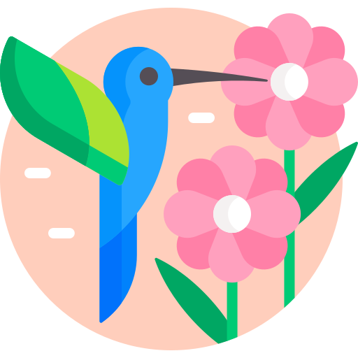 colibrí icono gratis