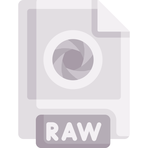 archivo raw icono gratis