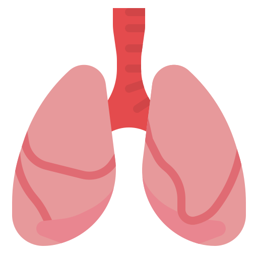 Lungs Ultimatearm Flat icon