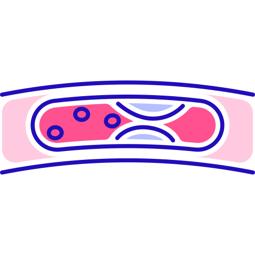 심장학 무료 아이콘