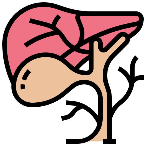 Gallbladder Meticulous Lineal Color Icon