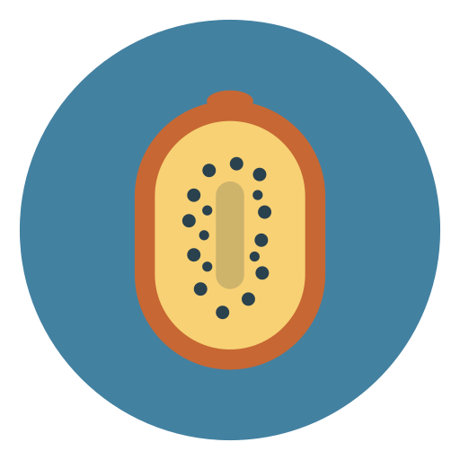 파파야 무료 아이콘 파파야 무료 아이콘