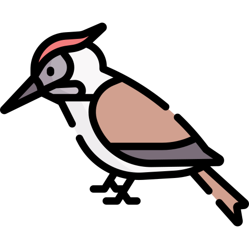 File:Kate editor mascot woodpecker.png - Wikimedia Commons