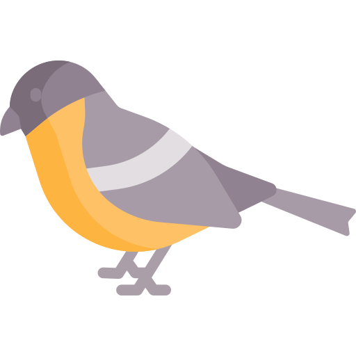 Bird Special Flat icon