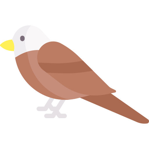 독수리 무료 아이콘