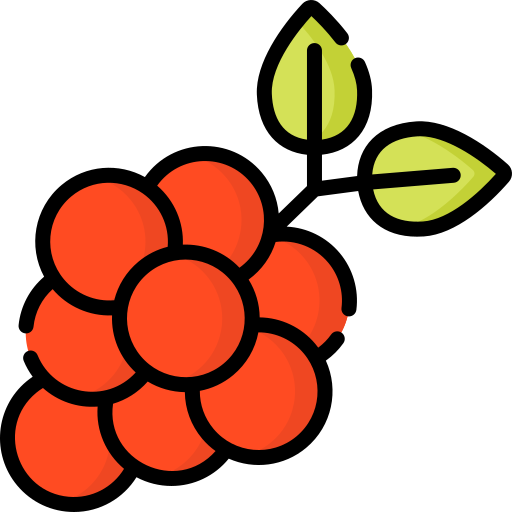 Grapes free icon