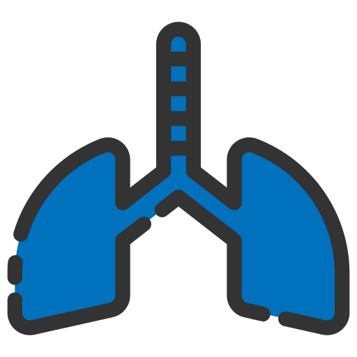 Lungs Generic Outline Color icon