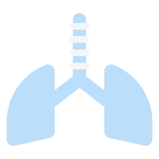 Lungs Generic Flat icon