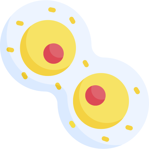 mitosis icono gratis