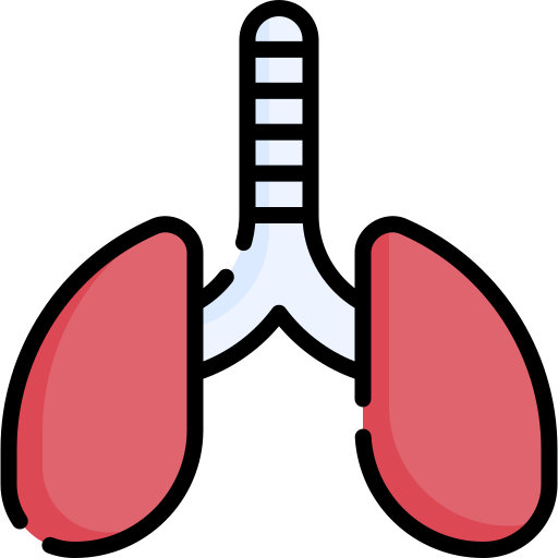 Lungs - Free medical icons