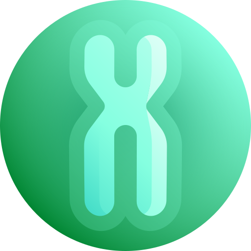 chromosome Icône gratuit chromosome Icône gratuit