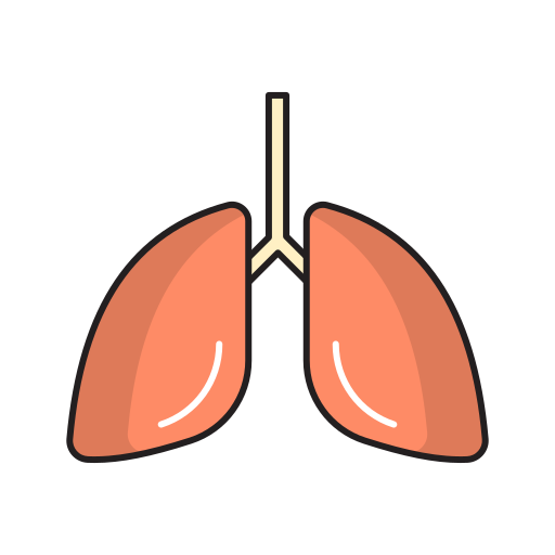 Lung - free icon