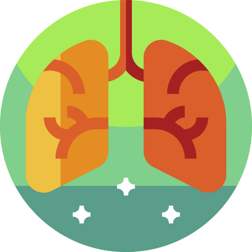 Lungs Geometric Flat Circular Flat icon