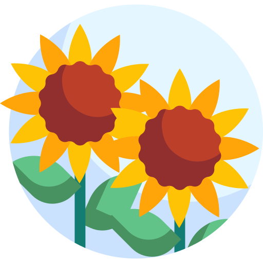 Sunflower free icon Sunflower free icon