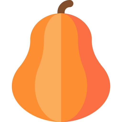 Pumpkin Basic Rounded Flat Icon