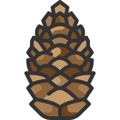 pine cone vector
