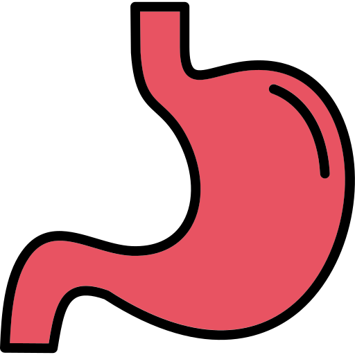 Stomach Generic Outline Color icon