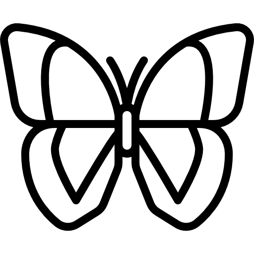 Butterfly Special Lineal icon