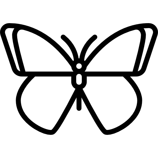 Butterfly - Free animals icons