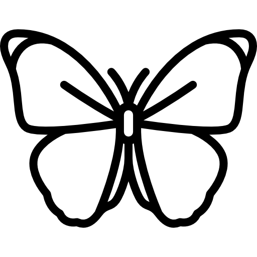 Butterfly Special Lineal icon