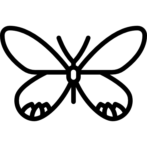 Butterfly - Free animals icons