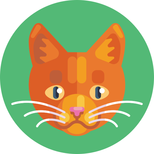 Animals icon Cat icon png download - 1136*1234 - Free Transparent