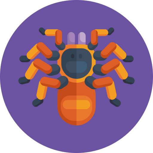 aranha grátis ícone