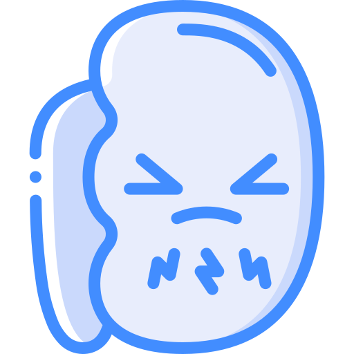 Kidney free icon Kidney free icon