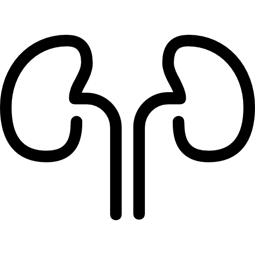 Kidneys Dimitriy Morilubov Lineal icon