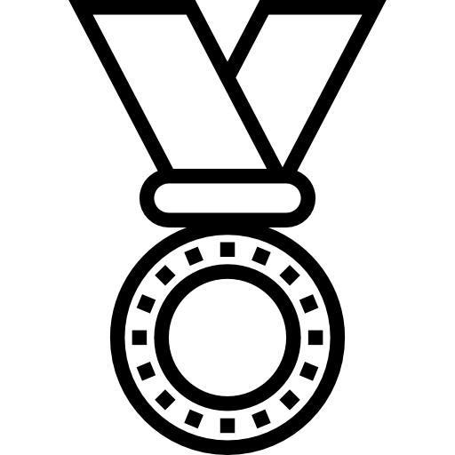 Medal Meticulous Line icon