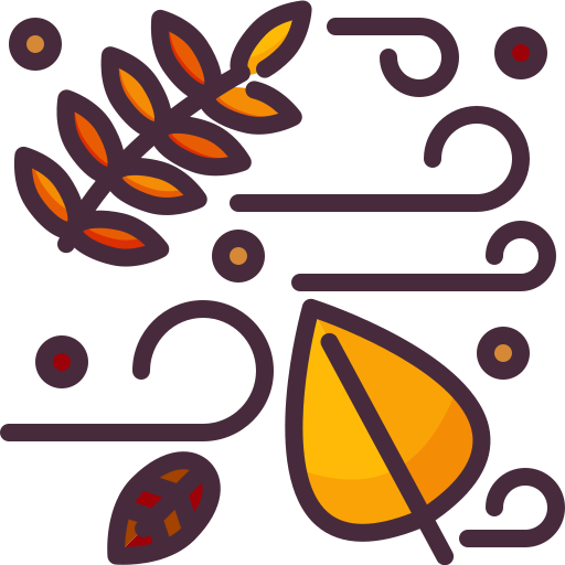 wind kostenlos Icon wind kostenlos Icon