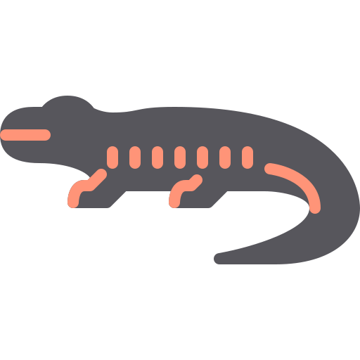 salamandra icono gratis