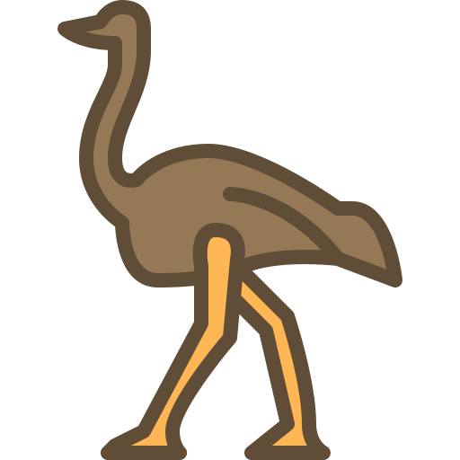 cartoon one legged ostrich