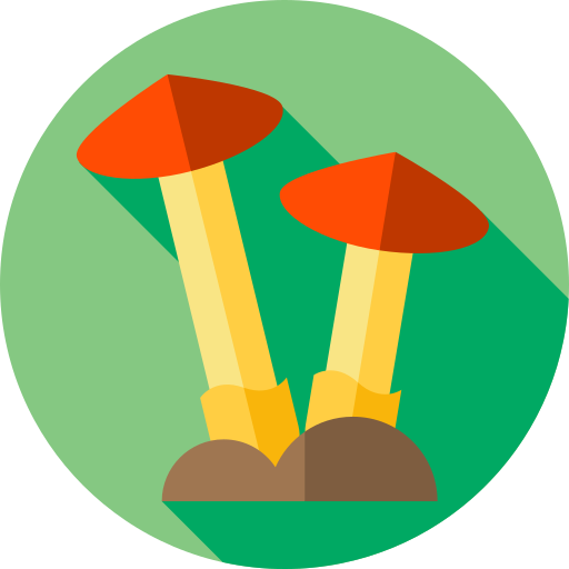 champignons Icône gratuit champignons Icône gratuit