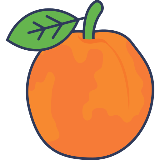 naranja icono gratis