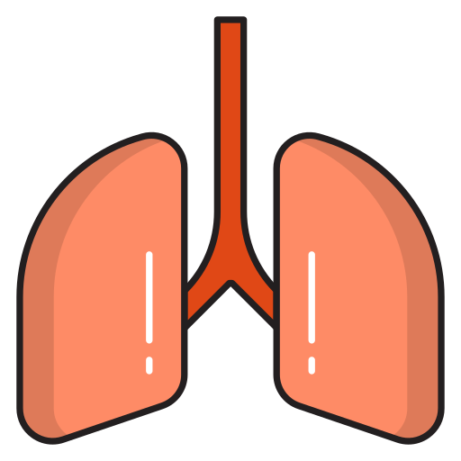 Lungs Vector Stall Lineal Color icon