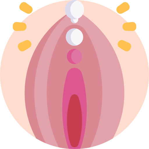 vagina icono gratis