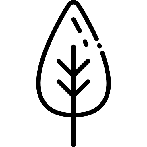 Leaf free icon