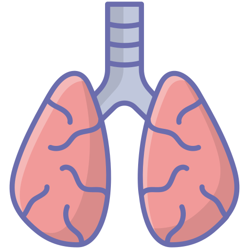 Lungs - free icon