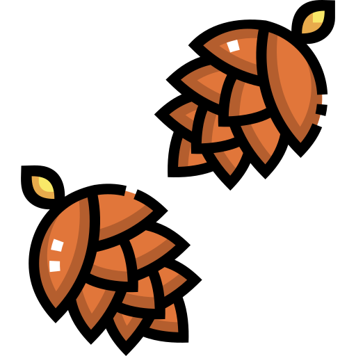 pine cone png