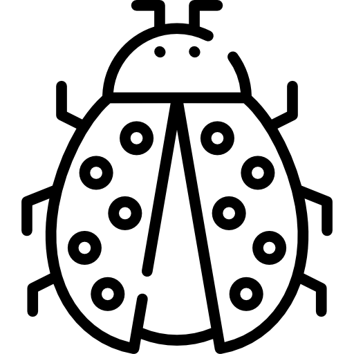 Ladybug Special Lineal icon