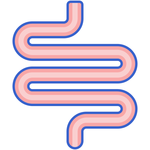Intestines free icon Intestines free icon
