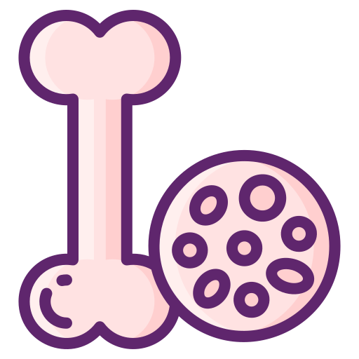 knochendichte kostenlos Icon knochendichte kostenlos Icon