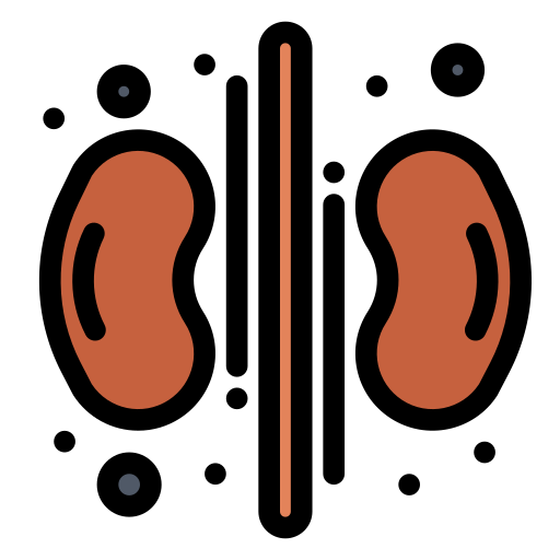 신장 무료 아이콘