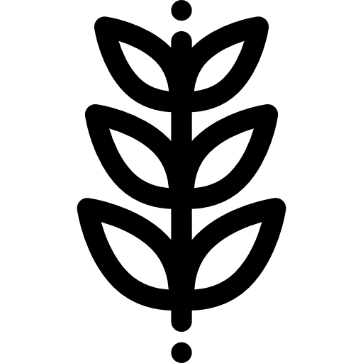 Пшеницы бесплатно иконка Пшеницы бесплатно иконка