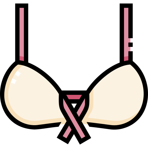 Bra Special Lineal icon