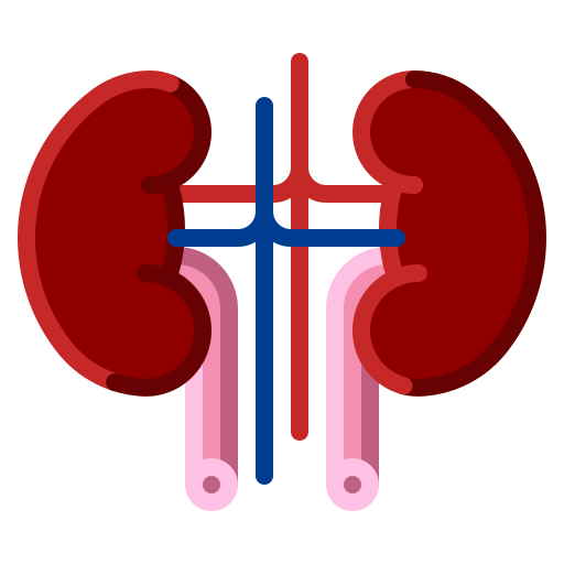 Kidneys - Free healthcare and medical icons