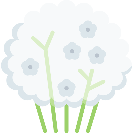 gypsophila icono gratis