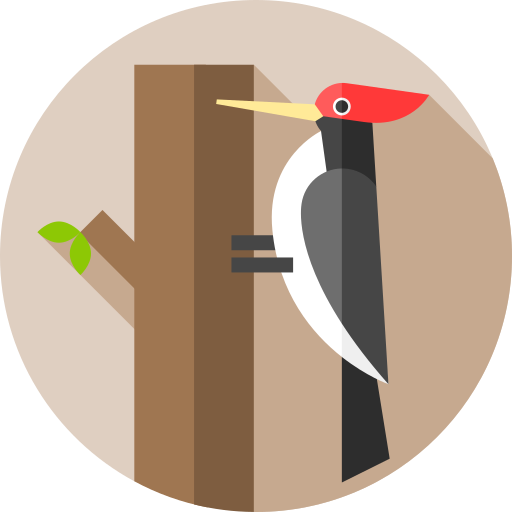 Woodpecker Flat Circular Flat icon